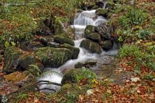 el rio en otoo.jpg